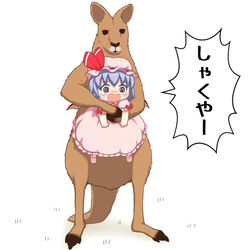  bebeneko blue_hair blush chibi commentary_request crying crying_with_eyes_open dress female hat hat_ribbon holding holding_person hostage kangaroo mob_cap open_mouth photoshop_(medium) pink_dress pink_footwear puffy_short_sleeves puffy_sleeves remilia_scarlet ribbon short_hair short_sleeves simple_background solo tears touhou translated white_background 