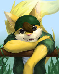  absurd_res anthro arm_tuft bandana blue_background brown_hair canid clothing countershading elbow_tuft fluffy fluffy_tail front_view fur glistening glistening_eyes green_bandanna green_clothing green_kerchief green_topwear hair hi_res inner_ear_fluff kerchief leaning leaning_forward looking_at_viewer male mammal open_mouth open_smile pink_nose simple_background smile solo t.y.stars tail topwear tuft wide_eyed yellow_body yellow_fur yellow_inner_ear_fluff yellow_tail 