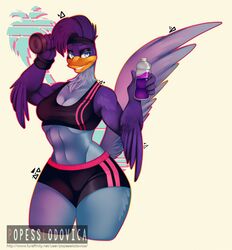  anthro anthrofied asian_clothing avian beak bird bottomwear bra breasts buruma clothing cuculiform dumbbell east_asian_clothing female greater_roadrunner hi_res japanese_clothing looney_tunes mazapan muscular muscular_anthro muscular_female new_world_ground_cuckoo non-mammal_breasts road_runner_(looney_tunes) roadrunner rule_63 solo sport sports_bra tail text underwear url warner_brothers weights 