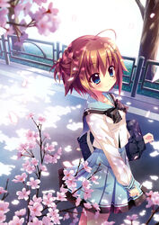  blue_eyes blue_skirt blush bow cherry_blossoms collarbone day female from_above hair_ornament hairclip highres izumi_tsubasu long_sleeves marehoshi_academy_school_uniform official_art outdoors photoshop_(medium) plant pleated_skirt re:stage! road school_uniform serafuku shikimiya_mana short_hair skirt smile solo spring_(season) standing street tareme tree 