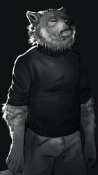  absurd_res anthro black_clothing black_nose black_topwear bottomwear canid canine canis clothed clothing fluffy fur grey_body grey_bottomwear grey_clothing grey_fur hi_res loose_fur male mammal monochrome neck_tuft rolled_up_sleeves sepulte shedding simple_background solo standing sweater topwear tuft turtleneck wolf 