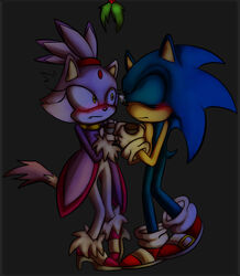  2013 anthro blaze_the_cat blue_hair blush closed_eyes domestic_cat eulipotyphlan felid feline felis female fur hair hedgehog kissing love male male/female mammal micro purple_body purple_fur sega silver_the_hedgehog sonic_the_hedgehog sonic_the_hedgehog_(series) tiny_(disambiguation) 