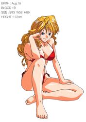  1990s_(style) barefoot bikini blonde_hair blood_type blue_eyes breasts christine_garland female full_body hand_on_own_thigh height highres knee_up large_breasts long_hair looking_at_viewer measurements non-web_source official_art red_bikini retro_artstyle side-tie_bikini_bottom simple_background sitting smile solo stats super_real_mahjong swimsuit tanaka_ryou three_sizes white_background 