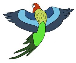  2014 ambiguous_gender avian beak bird blue_body blue_feathers blue_wings brown_eyes dark_pupils digital_drawing_(artwork) digital_media_(artwork) eastern_rosella feathered_arms feathered_wings feathers feral flat_colors flying green_body green_feathers green_tail green_tail_feathers grey_beak jamminbison light_beak long_tail long_tail_feathers midair monotone_beak monotone_tail monotone_wings multicolored_body multicolored_feathers no_sclera parrot pupils red_body red_feathers rosella separated_wing_tips simple_background small_pupils solo spread_arms spread_wings tail tail_feathers toony true_parrot white_background white_body white_feathers winged_arms wings yellow_body yellow_feathers 