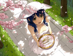  :d bare_shoulders blue_hair braid breasts cherry_blossoms collarbone commentary_request day dress female from_above grass hat medium_breasts nature niii_(memstapak) open_mouth outdoors petals photoshop_(medium) shokugeki_no_souma smile solo sun_hat sundress tadokoro_megumi tree twin_braids white_dress white_hat yellow_eyes 