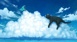  animal animal_focus bad_id bad_pixiv_id black_cat blue_sky blue_theme closed_eyes cloud cumulonimbus_cloud day feline flag fluffy green_flag kazami_(kuroro) lying no_humans on_cloud original outdoors planted shadow sky sleeping tail whiskers 