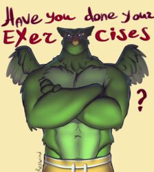  anthro avian barazoku bird bottomwear clothed clothing dialogue digital_media_(artwork) duo_(duolingo) duolingo english_text looking_at_viewer male mascot muscular muscular_anthro muscular_male owl rexwind shorts solo talking_to_viewer text topless 