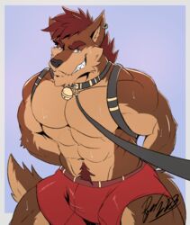  abs anthro bondage bondage bottomwear bound brown_body brown_eyes brown_fur canid canine canis clothed clothing collar ear_piercing ear_ring fur gabu_(awoogabu) hands_behind_back harness hi_res leash leashed_collar lofnirv looking_at_viewer male mammal muscular muscular_anthro muscular_male muscular_sub piercing red_bottomwear red_clothing red_shorts red_wolf ring_piercing shorts shorts_only solo submissive topless wolf 