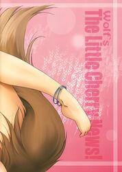 animal_humanoid canid canid_humanoid canine canine_humanoid canis comic english_text female hi_res holo_(spice_and_wolf) humanoid ikuta_takanon kraft_lawrence mammal mammal_humanoid solo spice_and_wolf tail text wolf wolf_humanoid