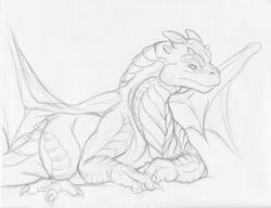 black_and_white dragon dragonheart dragonheart_2 drake_(dragonheart) feral hi_res male membrane_(anatomy) membranous_wings monochrome mythological_creature mythological_scalie mythology narse quadruped scalie simple_background sketch solo tail universal_studios white_background wings