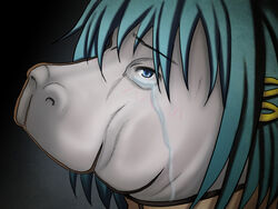  animalization blue_eyes blue_hair blush face hair_ornament hairclip hippopotamus i&#039;m_such_a_fool mahou_shoujo_madoka_magica miki_sayaka nostrils parody pun sayakaba short_hair solo spoilers tears tk8d32 