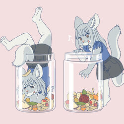  1:1 anthro chinchilla chinchillid clothed clothing container ekaki510 female food fruit jar kemono mammal nut_(fruit) plant rodent solo stuck 