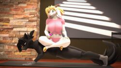  16:9 2023 3d_(artwork) 4k 5_fingers 5_toes absurd_res akuma_(domibun) all_fours anthro barefoot big_breasts black_body black_bottomwear black_clothing black_fur black_hair black_shorts blonde_hair blue_eyes bottomwear bovid breasts camila_(domibun) canid canine caprine clothing digital_media_(artwork) domibun duo exercise feet female fingerless_(marking) fingers fox fur goat hair hi_res holding_juice_box hooves inside male male/female mammal open_mouth pink_bottomwear pink_clothing pink_shirt pink_topwear red_eyes shirt shorts sitting_on_another sitting_on_back source_filmmaker_(artwork) toes topwear warfare_machine white_body white_fur widescreen 