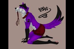  anthro black_bars blackbatwolf canid canine canis clothing collar domestic_dog elkhound fur kneeling leash male mammal pawalo pillarbox purple_body purple_fur solo spitz underwear waiting walkies 