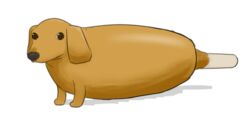  alpha_channel ambiguous_gender black_nose brown_eyes canid canine canis corndog dachshund domestic_dog feral food food_creature humor hunting_dog mammal maximumpingas pun simple_background solo transparent_background visual_pun what 