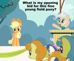  2012 applejack_(mlp) auction blonde_hair blue_eyes blue_hair bonbon_(mlp) carrot_top_(mlp) clothing day dialogue english_text equid equine eyewear friendship_is_magic glasses green_eyes grey_hair hair hasbro hat headgear headwear horn image_macro long_hair mammal mayor_mare_(mlp) meme my_little_pony mythological_creature mythological_equine mythology orange_hair outside short_hair smile text unicorn 