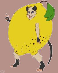  american_opossum anthro clothing costume dreamworks el_chihuahueno_nico female food food_costume fruit fruit_costume heather_(over_the_hedge) hi_res lemon lemon_costume mammal marsupial n1c0_art over_the_hedge plant simple_background solo tongue 