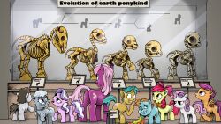  16:9 anatomy apple_bloom_(mlp) ass bone chart cheerilee_(mlp) cutie_mark cutie_mark_crusaders_(mlp) diamond_tiara_(mlp) earth_pony egg english_text equid equine evolution evolution_chart eyewear feathered_wings feathers female feral friendship_is_magic glasses group hasbro hi_res horn horse male mammal moderatelydeviant museum my_little_pony mythological_creature mythological_equine mythology nude orange_body orange_feathers pegasus pony quadruped scootaloo_(mlp) silver_spoon_(mlp) skeleton snails_(mlp) snips_(mlp) sweetie_belle_(mlp) tail text truffle_shuffle_(mlp) unicorn widescreen wings young young_feral 