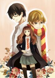  2boys animification black_eyes black_hair black_legwear blue_eyes brown_eyes brown_hair commentary_request female flower glasses gryffindor harry_potter harry_potter_(series) hermione_granger hogwarts_school_uniform lianzirong long_hair multiple_boys necktie photoshop_(medium) robe ron_weasley school_uniform short_hair skirt thighhighs wand wizarding_world zettai_ryouiki 