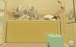  1boy animal_ears bath bathing bathroom bathtub closed_eyes commentary female furry furry_female furry_male grey_hair highres indoors long_hair looking_at_another mayumochini mirror original short_hair symbol-only_commentary tail 