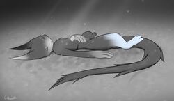  anthro black_and_white closed_eyes falling_petals female flower fur furred_kobold furred_scalie giru_(artist) grass hand_on_belly hand_on_floor holding_flower holding_object kobold krya_(giru) light light_beam lying monochrome on_back petals plant scalie sleeping sleeping_on_floor solo sunbeam sunlight tail_on_ground white_body white_fur 