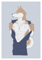  2022 abs absurd_res anthro barazoku biceps bodily_fluids brown_body brown_fur canid canine canis domestic_dog fur hi_res jewelry male mammal muscular muscular_anthro muscular_male necklace pecs scar_on_body shiba_inu shikayoshi solo spitz sub20211115 sweat sweatdrop sweaty_body tongue tongue_out undressing_self white_body white_fur 