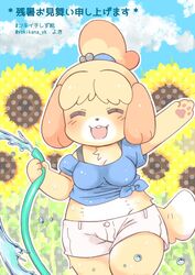  accessory animal_crossing anthro blue_clothing blue_topwear blush bottomwear bra_straps breasts canid canine canis closed_eyes clothed clothing cloud digital_media_(artwork) domestic_dog female flower hair hair_accessory hose hotpants isabelle_(animal_crossing) mammal midriff nintendo open_mouth open_smile outside pawpads plant shaded shih_tzu shirt shorts sky slightly_chubby smile solo sunflower tied_shirt topwear toy_dog undershirt water white_bottomwear white_clothing white_shorts yokikana_yk 