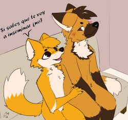  anthro blush canid canine canis chris_(raposanaranja) colored dialogue digital_media_(artwork) fox fur hair hi_res humor imminent_sex male mammal maned_wolf olly_fox simple_background size_difference smile spanish_text tail text 