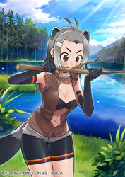  american_beaver_(kemono_friends) animal_ears beaver_ears beaver_tail bike_shorts black_gloves bra branch brown_eyes brown_vest commentary_request cutoff_jeans cutoffs elbow_gloves extra_ears female fur_collar gloves grey_hair hair_ornament hairclip kemono_friends kemono_friends_3 lake multicolored_hair official_art open_clothes open_vest outdoors short_hair sky sleeveless solo tail underwear vest water yuko_(uc_yuk) 