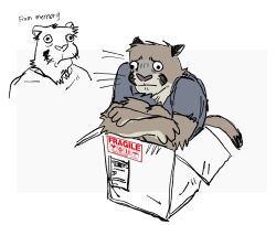  2024 anthro athletic athletic_anthro athletic_male biped blue_clothing blue_shirt blue_topwear box brown_body brown_fur cardboard cardboard_box clothing container curled_up felid fetal_pose fur hi_res male mammal pantherine shirt sitting_in_box solo tackydogstatue tiger topwear 