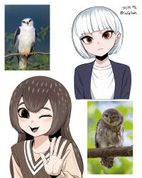  2girls absurdres bird bird_girl bird_tail bird_wings blush brown_feathers colored_sclera creature_and_personification expressionless falcon feathers gegegekman highres jacket looking_at_viewer multiple_girls one_eye_closed original owl owl_ears owl_girl personification photo_inset red_eyes reference_inset smile tail waving white_hair wings yellow_sclera 