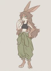  anthro arm_tuft barefoot black_clothing blue_eyes brown_body brown_fur brown_hair circle_eyebrows clothing crop_top elbow_tuft eyebrows feet female fluffy fluffy_hair fur fur_tuft gesture green_clothing hair hi_res jumpsuit lagomorph leporid long_ears long_hair looking_at_viewer mammal messy_hair rabbit shirt smile smiling_at_viewer solo standing tank_top tateoftot topwear tuft waving waving_at_viewer white_body white_fur 