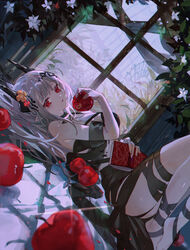  apple arknights bikini black_bikini black_collar black_ribbon book collar demon_horns dutch_angle female ferris_wheel flower food fruit grey_hair hair_ornament highres hitokoto holding holding_book holding_food holding_fruit horns infection_monitor_(arknights) knees_up long_hair looking_at_viewer lying material_growth mudrock_(arknights) mudrock_(silent_night)_(arknights) official_alternate_costume on_back oripathy_lesion_(arknights) parted_lips red_eyes ribbon solo swimsuit white_flower window 