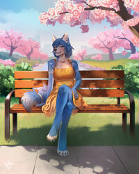  anthro ariannafray_pr bench blue_body blue_eyes blue_fur blue_hair breasts canid canine cherry_blossom cherry_tree clothing crossed_legs day dress female flower fluffy fluffy_tail fox front_view fruit_tree fur hair hi_res inner_ear_fluff krystal_(star_fox) mammal nintendo outside park park_bench plant prunus_(flower) sitting sky solo star_fox sundress tail tree tuft yellow_clothing yellow_dress 