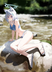  absurdres alternate_costume animal_ear_fluff animal_ears bikini blue_archive blue_bikini blue_eyes blue_halo blurry blurry_background breasts bright_pupils cleavage closed_mouth cross cross_hair_ornament derivative_work female grey_hair hair_ornament halo highres inverted_cross looking_at_viewer medium_breasts menck5428 mismatched_pupils mixed-language_commentary navel outdoors river rock sandals shiroko_(blue_archive) short_hair sitting smile solo swimsuit thighs toenails toes white_pupils wolf_ears wolf_girl 