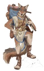  absurd_res anthro armor backpack breastplate brown_body brown_fur canid canine canis clothed clothing collar coyote digital_media_(artwork) feet fingers footwear fur hi_res knife looking_at_viewer male mammal melee_weapon pelzibat shirt shoes simple_background solo standing tail topwear tunic weapon 