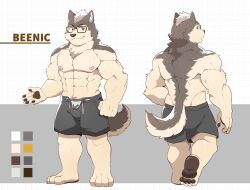  anthro beenic canid canine canis clothing domestic_dog english_text fur glasses_on_face grey_body grey_fur hair husky male mammal model_sheet muscular muscular_anthro muscular_male nipples nordic_sled_dog seiryuuden simple_background solo spitz standing text underwear white_hair 