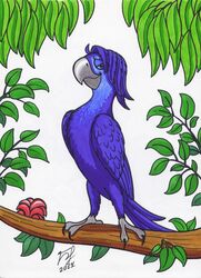  2014 avian avian_feet bird blue_sky_studios branch goldy-gry leaf looking_at_viewer macaw male neotropical_parrot parrot rio_(series) roberto_(rio) shaded simple_shading solo spix&#039;s_macaw standing traditional_media_(artwork) true_parrot 