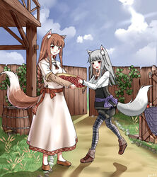  2girls animal_ears basket blue_sky blush braid braided_ponytail brown_hair dress eye_contact fence food fruit grey_hair highres holding holding_basket holo ice-coffee2019 long_hair looking_at_another mother_and_daughter multiple_girls myuri_(spice_and_wolf) oerba_yun_fang open_mouth outdoors pantyhose pantyhose_under_shorts pink_dress pouch print_pantyhose red_eyes sash shoes shorts skin_fang skirt sky smile spice_and_wolf standing tail wolf_ears wolf_girl wolf_tail wooden_fence 