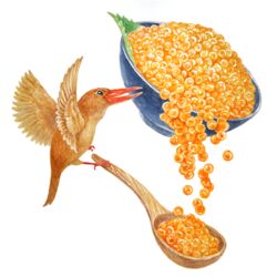  absurdres animal bird bowl fish_(food) food food_focus highres ikura_(food) kanou_(pixiv_37964562) kingfisher no_humans painting_(medium) roe ruddy_kingfisher spoon traditional_media watercolor_(medium) 