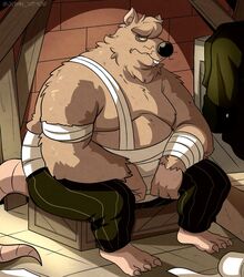  2024 3_toes anthro bandage belly big_belly black_nose bottomwear brown_body brown_fur clothing detailed_background feet fur john_vithor male mammal moobs murid murine overweight overweight_male pants rat rodent sitting solo toes 