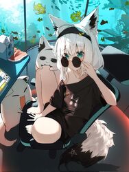  adjusting_eyewear ahoge alternate_color animal_ear_fluff animal_ears aqua_eyes bare_legs barefoot black_hairband black_shirt commentary_request earrings extra_ears eyewear_pull feet_on_chair female fish fox_ears fox_girl fox_tail fubuzilla_(shirakami_fubuki) hair_between_eyes hairband highres hololive jewelry korean_commentary looking_at_viewer looking_over_eyewear magikarp miteiru_(shirakami_fubuki) monitor mummemmim nejima_kitsune_(shirakami_fubuki) official_alternate_costume on_chair pentagram pokemon pokemon_(creature) raised_eyebrows round_eyewear screenshot_inset shiny_pokemon shirakami_fubuki shirakami_fubuki_(fubukitek) shirakami_fubuki_(loungewear) shirt sidelocks single_earring solo speaker sunglasses table tail virtual_youtuber white_hair white_shirt 