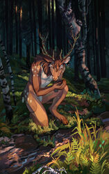  5_fingers aeltheric_(stella_asher) anthro antler_markings antlers blue_eyes brown_body brown_fur creek cupping deer digitigrade felid feline female fingers fur geosaiko1267 grass hi_res hooves horn hybrid in_tree kneeling looking_at_another lynx male mammal mane markings multicolored_body multicolored_fur outside plant procyonid purple_eyes raccoon rava_(artmynx) ring_(marking) solo_focus tree two_tone_body two_tone_fur unguligrade unguligrade_anthro water white_body white_fur 