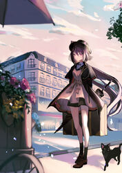  animal_ears arknights arms_behind_back bare_legs black_cat black_coat black_hair black_hat black_shorts brown_dress brown_footwear building cat_ears closed_mouth closed_umbrella cloud coat day dress ears_through_headwear fedora feline female full_body hat highres long_hair looking_at_viewer low_ponytail melantha_(arknights) melantha_(letters_from_wessex)_(arknights) natsuba002 official_alternate_costume open_clothes open_coat outdoors purple_hair red_eyes shoes shorts socks solo standing striped_clothes striped_shorts suitcase umbrella vertical-striped_clothes vertical-striped_shorts very_long_hair 