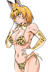  animal_ears bikini blush bow bowtie commentary_request elbow_gloves female gloves hand_on_own_hip kemono_friends manabe_jouji navel orange_bow orange_bowtie orange_hair print_bow print_bowtie print_gloves serval_(kemono_friends) serval_print side-tie_bikini_bottom swimsuit traditional_bowtie two-tone_bowtie white_background white_bow white_bowtie yellow_eyes 