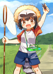  :d alternate_costume arm_up black_hair blue_shorts blue_sky blush brown_eyes bug butterfly_net cloud commentary_request common_raccoon_(kemono_friends) day female grass grey_hair hand_net hat highres kemono_friends multicolored_hair oerba_yun_fang open_mouth outdoors raccoon_tail raglan_sleeves road shirt short_hair shorts sky smile solo straw_hat suicchonsuisui sun_hat t-shirt tail 