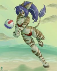  4:5 anthro avencri beach bikini clothing cloud equid equine female hair hybrid mammal seaside sky solo sport swimwear volleyball water zebroid zonkey 