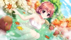  autumn_leaves blue_sky braid breasts cleavage closed_eyes closed_mouth cloud collarbone crown_braid day dot_nose dutch_angle female film_grain game_cg haeno_akari hair_bun hair_up izumi_tsubasu large_breasts lens_flare monkey naked_towel non-web_source official_art onsen open_mouth orange_hair outdoors partially_submerged purple_eyes re:stage! rock sitting sky smile solo sparkle towel tree white_towel 