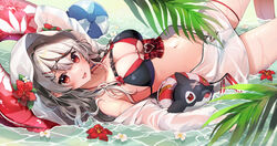  bikini black_bikini black_hair breasts cleavage double_bikini ear_piercing female flower grey_hair hair_ornament hairpin highres hololive hood hood_up hooded_jacket innertube inu_(sakamata_chloe) jacket large_breasts long_hair looking_at_viewer lying_on_water multicolored_hair navel open_clothes open_jacket piercing red_bikini red_eyes sakamata_chloe see-through see-through_jacket shinomiya_shino_(sinosino141) solo streaked_hair swim_ring swimsuit virtual_youtuber x_hair_ornament 