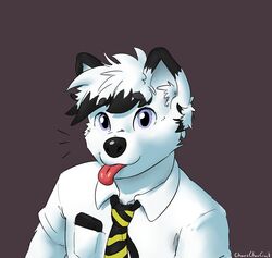  absurd_res anthro arctic_fox black_body black_ears black_eyebrows black_fur black_hair black_necktie black_neckwear black_nose blue_eyes canid canine cellphone chip_(wuffie88) circle_eyebrows clothed clothing collared_shirt dark_ears dark_eyebrows dark_hair dark_neckwear dark_nose dark_pupils device dipstick_ears dipstick_hair ear_markings electronic_device electronics eyebrow_through_hair eyebrows fox fur grey_background hair hi_res inner_ear_fluff iris light_body light_clothing light_ears light_face light_fur light_hair light_inner_ear light_inner_ear_fluff light_shirt light_topwear looking_at_viewer male mammal monotone_clothing monotone_face monotone_inner_ear monotone_shirt monotone_topwear multicolored_body multicolored_ears multicolored_fur multicolored_hair multicolored_necktie multicolored_neckwear necktie neckwear pattern_necktie pattern_neckwear phone pockets pupils red_tongue shirt short_hair short_snout signature simple_background snout solo striped_necktie striped_neckwear stripes sunhuiz t-shirt tongue tongue_out topwear translucent translucent_hair true_fox tuft two_tone_body two_tone_ears two_tone_fur two_tone_hair two_tone_necktie two_tone_neckwear white_body white_clothing white_ears white_face white_fur white_hair white_inner_ear white_inner_ear_fluff white_shirt white_topwear yellow_necktie yellow_neckwear yellow_stripes 